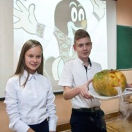 День Моля